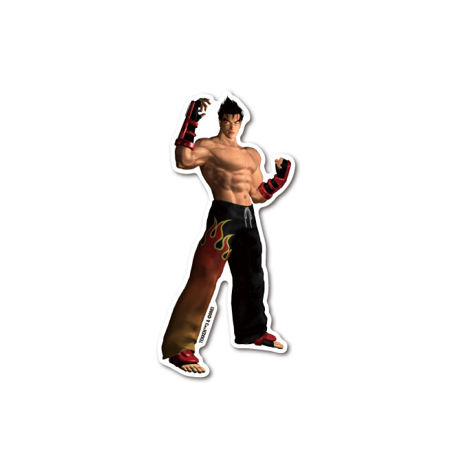 TEKKEN 3 Die Cut Vinyl Sticker 029 Jin Kazama